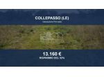 Immobile in asta di 26550 m² in vendita a Collepasso