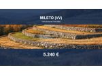 Immobile in asta di 3550 m² in vendita a Mileto
