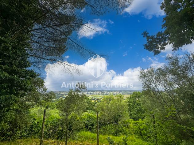 Villa in vendita a Paciano - Foto 18