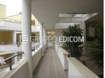 Abitazione di tipo economico in vendita a Poggiardo - Rif. 3558855