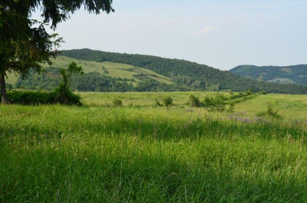 Agricoltura e/o realizzazione di un Desiderio - Foto 5