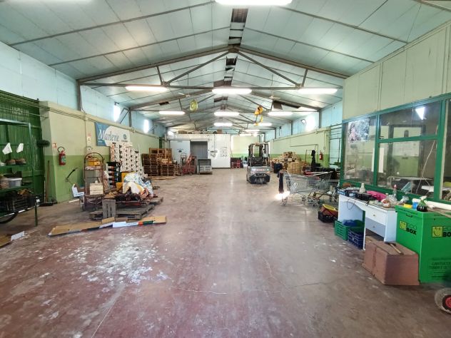 Rif. 03T Pisticci-Azienda Agricola in vendita con fabbricati - Foto 7