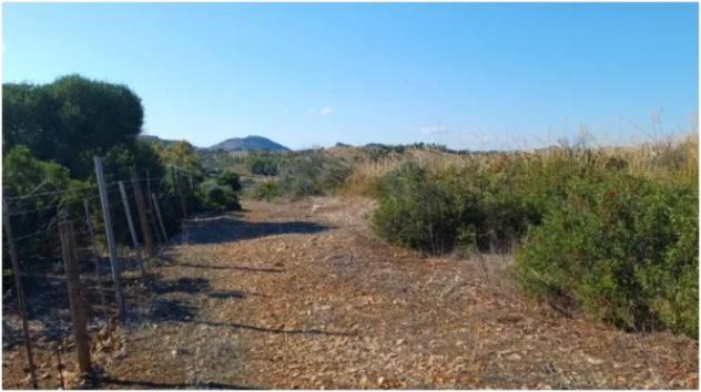 Immobile in asta di 6415 m² in vendita a Serrenti - Foto 2