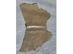 Pelle di vitello resinata polvere oro – Sp. 1,8