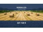 Immobile in asta di 8570 m² in vendita a Borgia