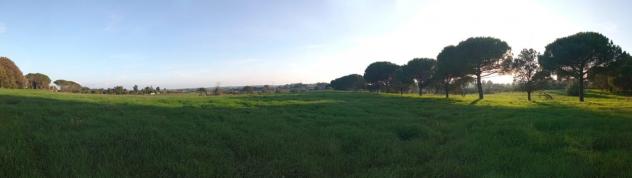 Terreno Agricolo - Rif. 2445 - Foto 11