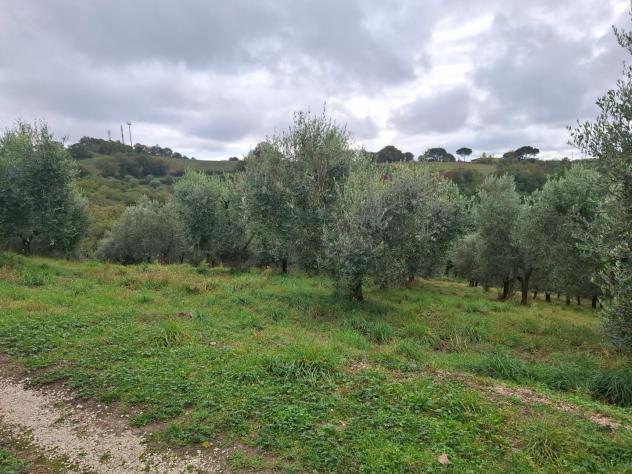 Rustico in vendita a Manciano 600 mq Rif: 1357872 - Foto 9