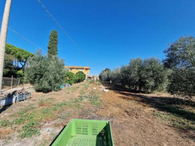 Immobile in asta di 66 m² in vendita a Capalbio - Foto 4