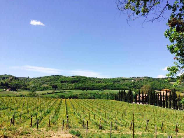 Appartamento in Affitto in zona BARGINO con giardino - Foto 8