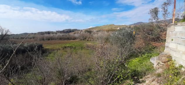 Seminativo in vendita a Montecorvino Rovella - Foto 7
