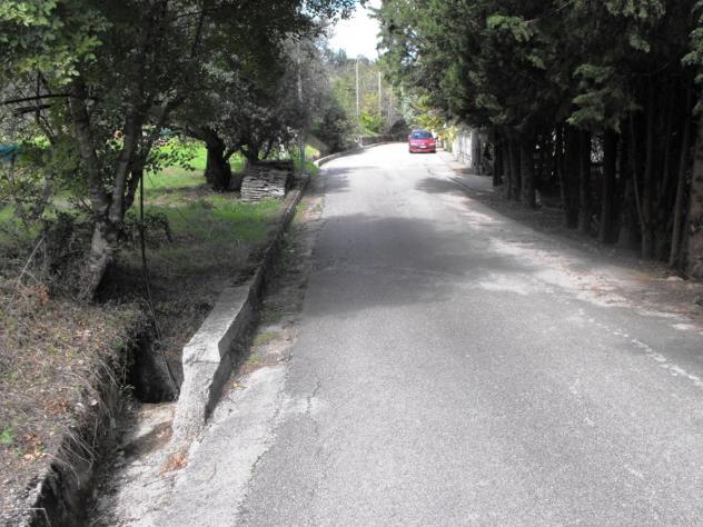 Agricolo in Località Caselle - Foto 4