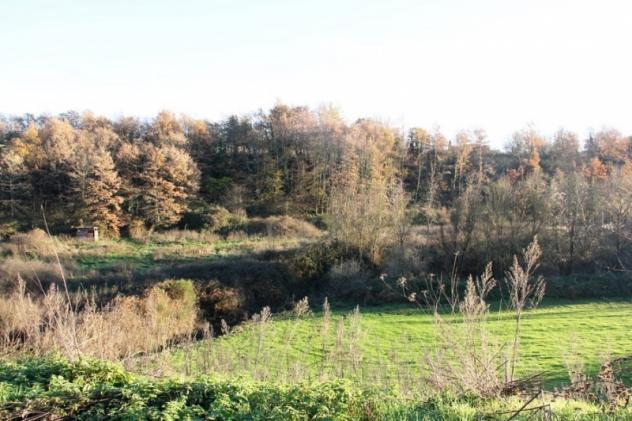 Orvieto - Vendesi cubatura per la realizzazione di un nuovo fabbricato circondato da circa 3000 mq di corte - Foto 2