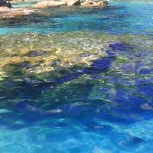 Villaggio Camping Calabria Verde di Grillo Cono & C. S.n.c. - Foto 4