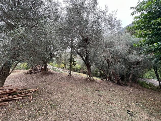 Terreno edificabile in vendita a Barbarano Mossano - Foto 4