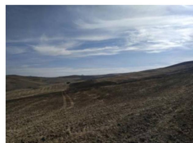 Immobile in asta di 4600 m² in vendita a Petralia Soprana - Foto 4
