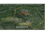 AZIENDA AGRICOLA di 10 vani e di 550 mq (ROCCALBEGNA) rif. 2377.181M