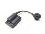 PIAGGIO ZIP 2T 50 BOBINA CENTRALINA ACCENSIONE COMPLETA 2000 2004 C25000