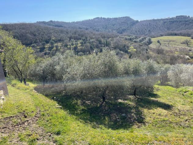 Agricolo in vendita a Piegaro - Foto 2