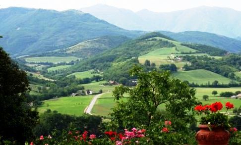 Cantina attrezzata colline Oltrepo' Pavese e Piacenza - Foto 3