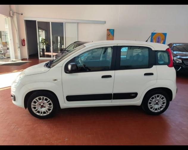FIAT Panda 1.2 Easy rif. 23994893 - Foto 3