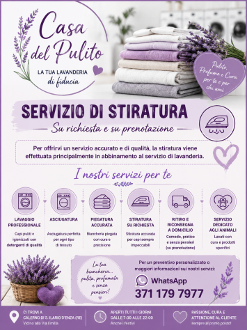 Hai bisogno di stirare?? Ti aiuto io