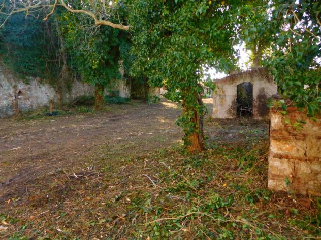 Colonica in vendita a Migliarino - Vecchiano 2850 mq Rif: 1295864 - Foto 8