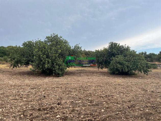Rif.2628 - Terreno edificabile Vista mare a Cava D'Aliga - Foto 7