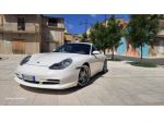 Porsche 911 Carrera cat Coup