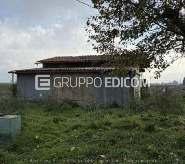 Fabbricati per attività agricole in vendita a Galliera - Rif. 4551417 - Foto 5