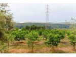 Terreno in vendita a Caltagirone