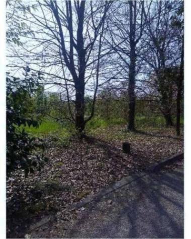 Immobile in asta di 11048 m² in vendita a Caneva - Foto 4