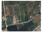 Terreno agricolo in vendita a San Pietro In Palazzi - Cecina 36000 mq  Rif: &hellip;