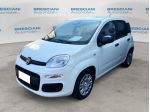 FIAT Pandina 1.0 FireFly 65cv S&S 6m Hybrid Pop