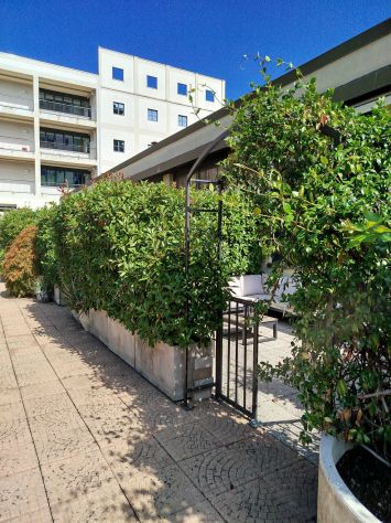 Milano - Magnifico loft con giardino - Foto 2