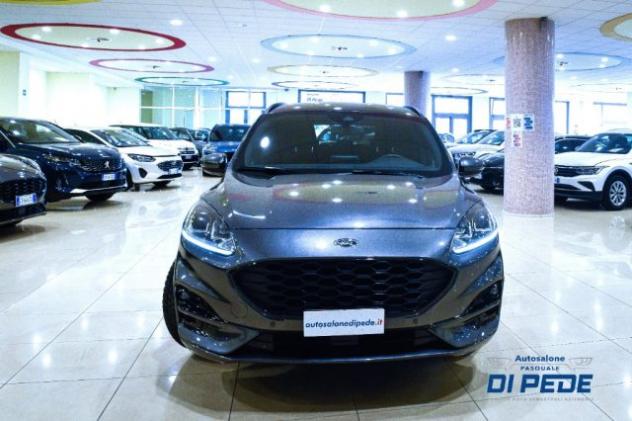 FORD Kuga 1.5 EcoBlue 120 CV 2WD ST-Line rif. 22768427 - Foto 2