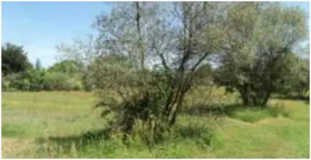 Immobile in asta di 36620 m² in vendita a Fucecchio - Foto 13