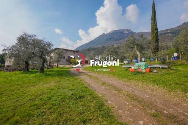 vf911 - TENUTA CON 2 ETTARI E ANNESSI AGRICOLI - Foto 3