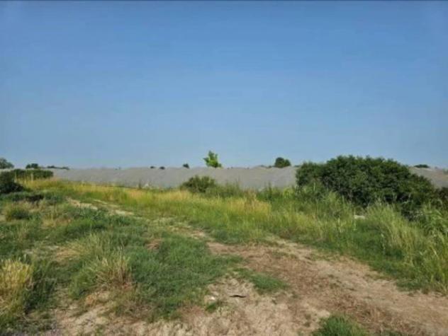 Immobile in asta di 46130 m² in vendita a Villimpenta - Foto 2