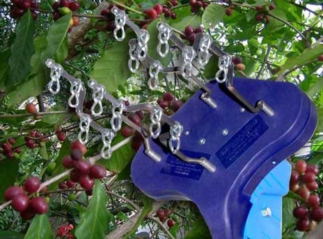 Elettrobrucatore per caffè Arpi 4 - Cardelli