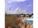 Guest House Marinelli