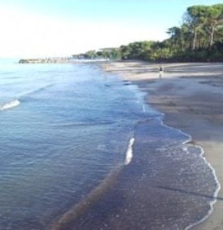 a 250 mt dal mare - animali benvenuti - Foto 5