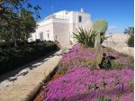 Masseria Poesia