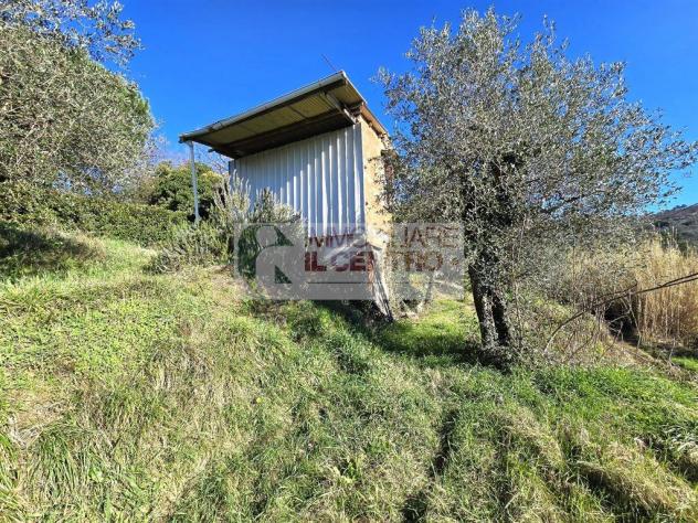 TERRENO AGRICOLO CON RICOVERO ATTREZZI - Foto 3