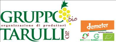 Cercasi esperto contabile (in sede)