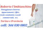 Roberto l'Imbianchino