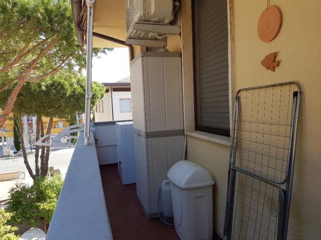 Appartamento in affitto a Rosignano Marittimo 40 mq Rif: 543630 - Foto 10