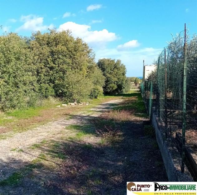 Via Galletti vendesi terreno agricolo 11.000 mq, pianeggiante - Foto 5