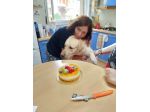 Offresi baby Sitter