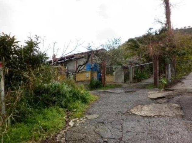 Immobile in asta di 50 m² in vendita a Serra San Bruno - Foto 2