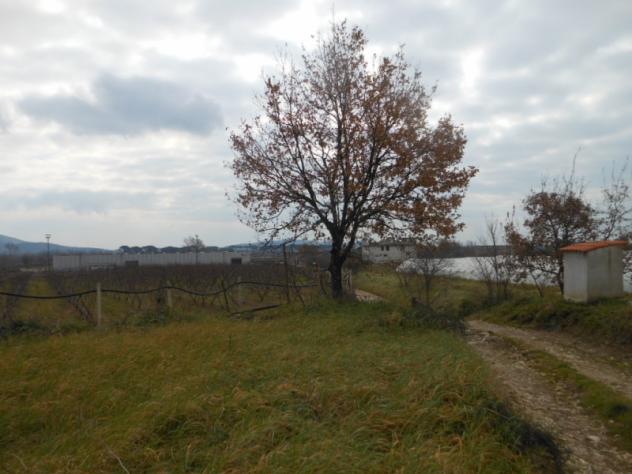 Casa indipendente affiancata per un lato su due livelli per un totale di mq 80 con terreno circostante di mq 3.000 - Foto 4